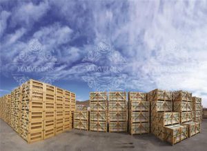 خرید سنگ مرمریت گلدن بلک